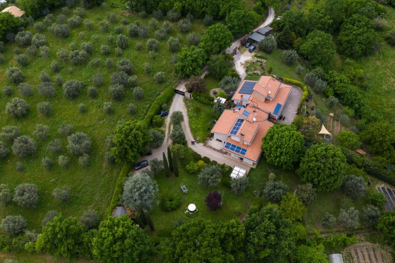 Bed and Breakfast Bio & B - Italyke Viterbo Zewnętrze zdjęcie