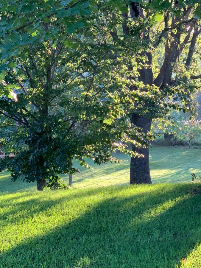 Bed and Breakfast Bio & B - Italyke Viterbo Zewnętrze zdjęcie
